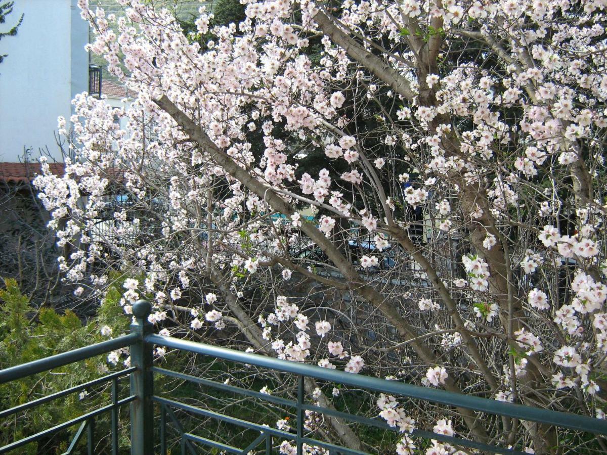 Filoxenia Appartement Levídhion Buitenkant foto